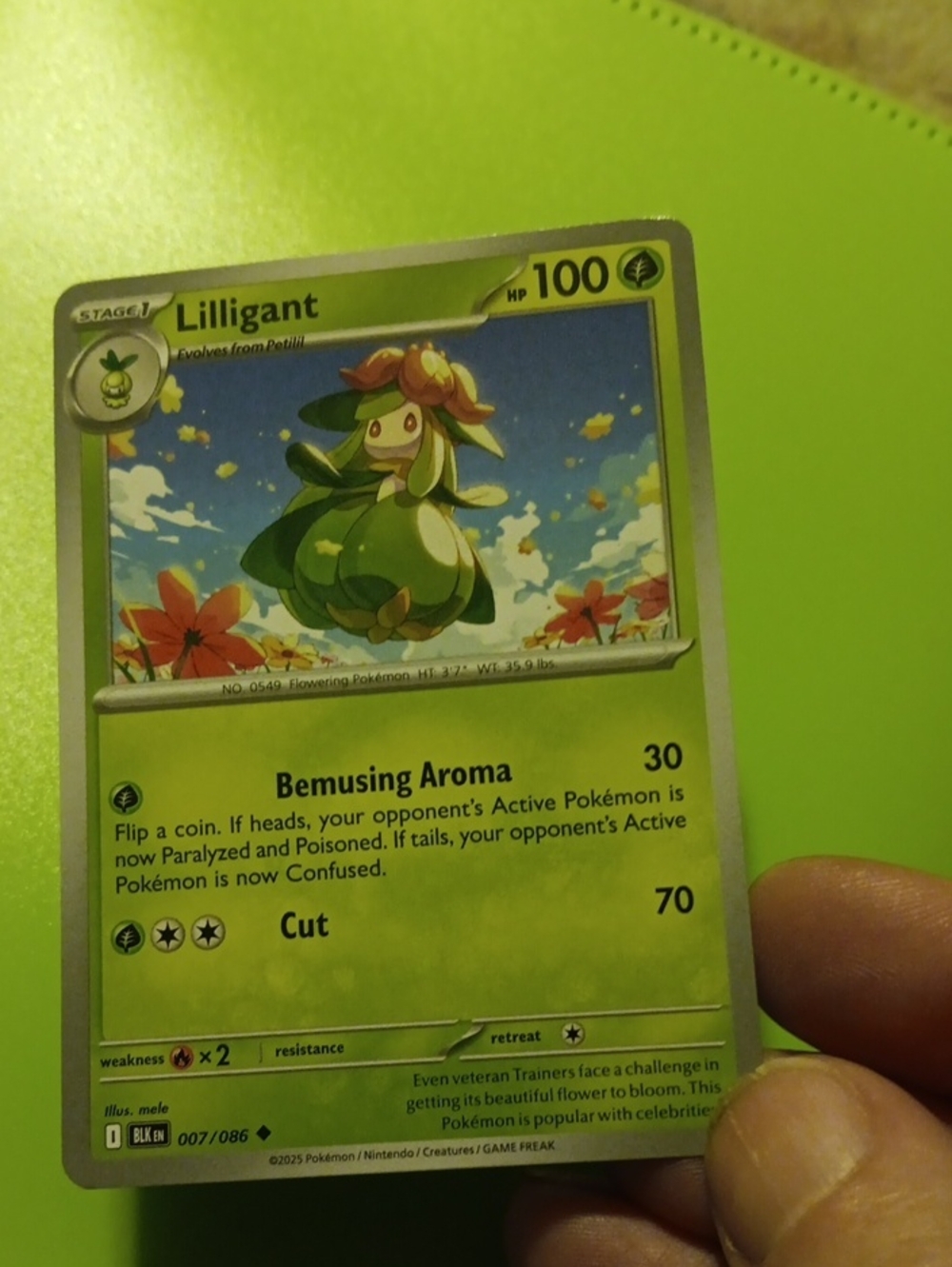Pokemon Lilligant Trading Card - Green